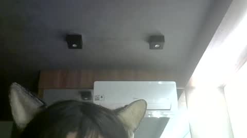 skinnykittencam online show from 07/08/26, 09:03
