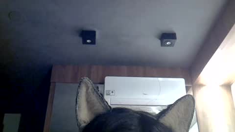 skinnykittencam online show from 07/12/26, 07:43