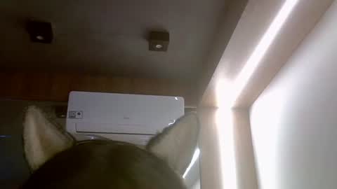 skinnykittencam online show from 07/16/26, 05:52