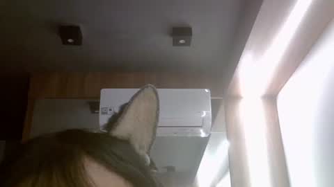 skinnykittencam online show from 07/17/26, 11:50