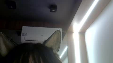 skinnykittencam online show from 07/23/26, 02:09