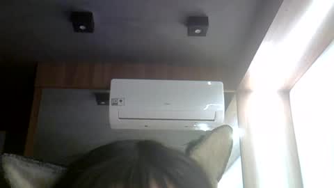 skinnykittencam online show from 07/24/26, 05:22