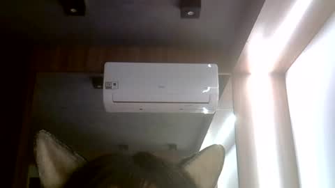 skinnykittencam online show from 07/25/26, 05:27