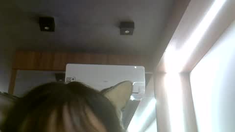 skinnykittencam online show from 07/25/26, 06:38