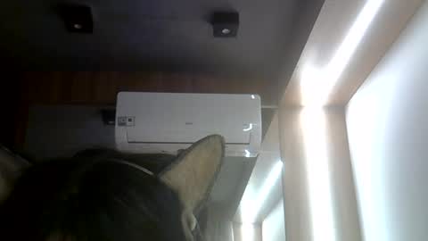 skinnykittencam online show from 07/26/26, 02:46