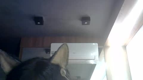 skinnykittencam online show from 07/27/26, 06:09