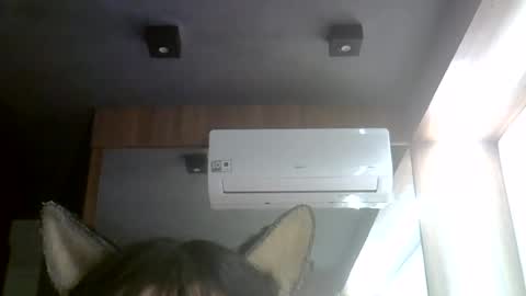 skinnykittencam online show from 07/28/26, 06:20