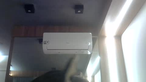 skinnykittencam online show from 07/28/26, 11:48