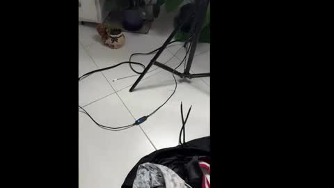 skinnylatin69 online show from 01/20/25, 02:32