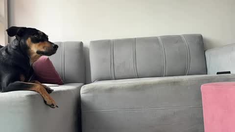 skinnylatin69 online show from 02/03/25, 06:17