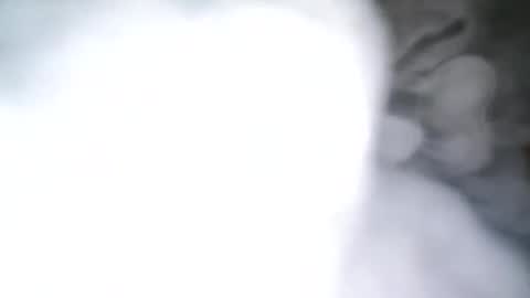 skyonetoo3 online show from 10/21/25, 10:21