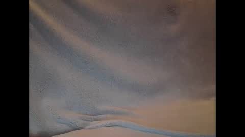 Snapshot of slava12345679 chatting on 02/03/25, 10:00 Alisa online show from 02/03/25, 10:00