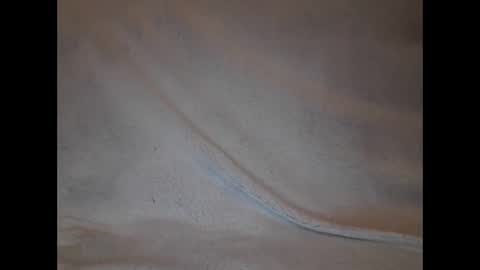 Snapshot of slava12345679 chatting on 02/04/25, 09:10 Alisa online show from 02/04/25, 09:10