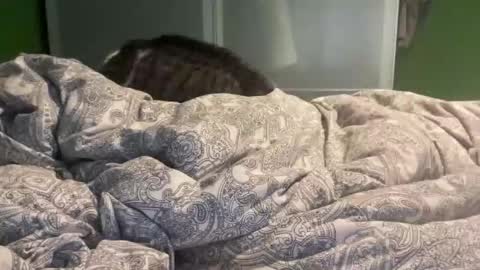 slice5 online show from 12/21/25, 09:49