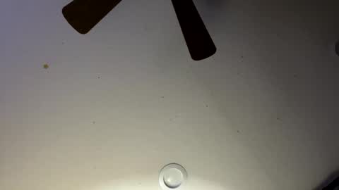 Slickdog online show from 01/30/25, 06:03