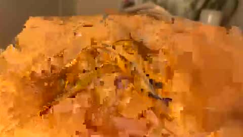 Snapshot of slipmytip chatting on 12/05/25, 11:08 slipmytip online show from 12/05/25, 11:08