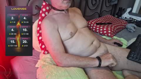 Slotos online show from 06/24/26, 04:55