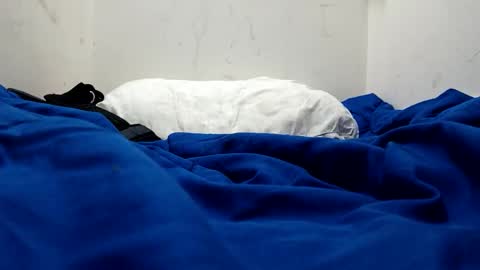 sluggycok online show from 11/04/25, 03:38