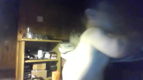 PIST PIST online show from 10/09/25, 06:28