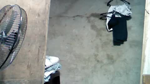 jess online show from 12/01/24, 07:47
