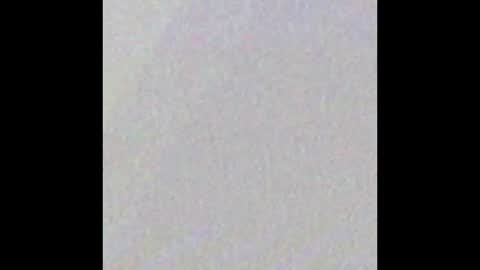 Nelly online show from 12/08/24, 07:05