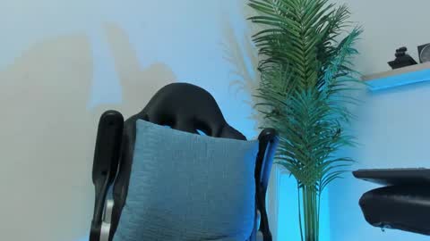 SMIT  online show from 12/07/24, 09:39