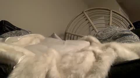 Snapshot of smoke4daddy chatting on 10/02/25, 12:56 Smoke4Daddy online show from 10/02/25, 12:56