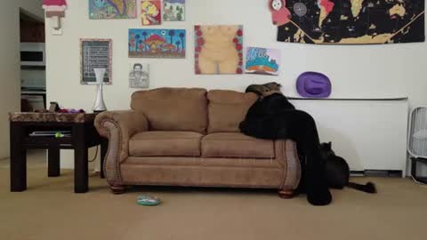 Big Dawg online show from 07/26/26, 02:57