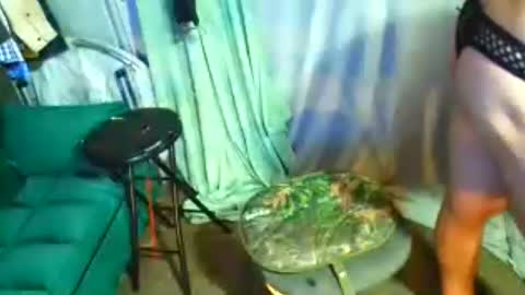snizniz online show from 07/29/26, 06:11