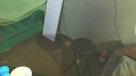 snizniz online show from 08/02/26, 04:11