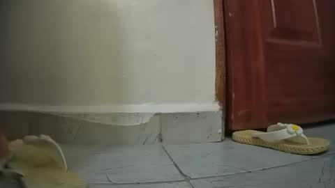 snowbell91 online show from 01/27/25, 08:29