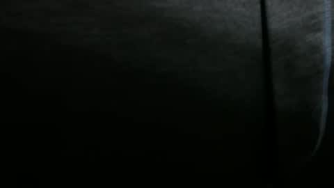 Snapshot of snuffalufagus chatting on 12/20/24, 06:35 Adam online show from 12/20/24, 06:35