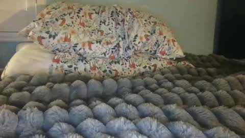 Snapshot of soccerstarnoww chatting on 01/24/25, 10:00 soccerstarnoww online show from 01/24/25, 10:00