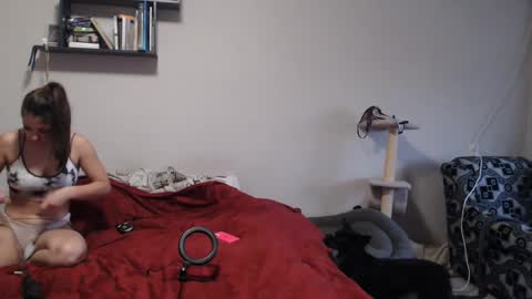Sofi online show from 12/12/24, 11:29