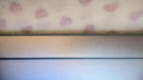 Snapshot of sofia8428 chatting on 09/22/25, 10:01 sofia8428 online show from 09/22/25, 10:01