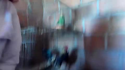 sofia gutierrez   online show from 01/21/25, 03:43