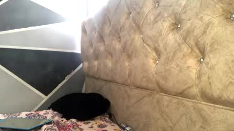 Sofia Jimenez online show from 11/04/25, 06:18