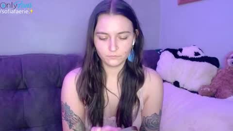 Snapshot of sofiafaerie chatting on 12/30/24, 11:17 sofiafaerie online show from 12/30/24, 11:17