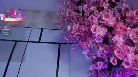 Snapshot of sofii_jones chatting on 06/14/26, 06:48 sofii_jones online show from 06/14/26, 06:48