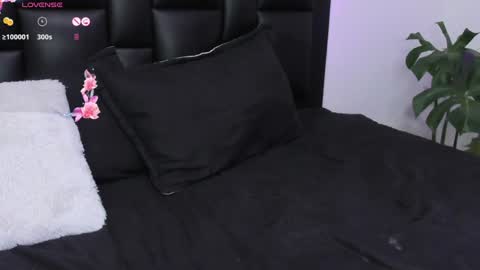   online show from 12/12/24, 01:32