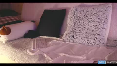 Snapshot of softlee chatting on 02/18/25, 08:03 Lisa  online at  .11 from about utc online show from 02/18/25, 08:03