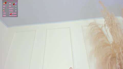 Sol Angel online show from 03/11/25, 12:06