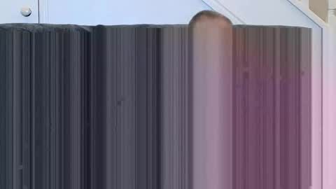 Snapshot of soloman7 chatting on 11/15/25, 01:07 jeff online show from 11/15/25, 01:07