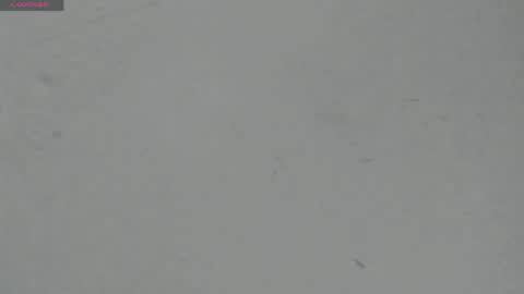 Snapshot of sophia_ebony___ chatting on 04/29/26, 12:09 sophia_ebony___ online show from 04/29/26, 12:09
