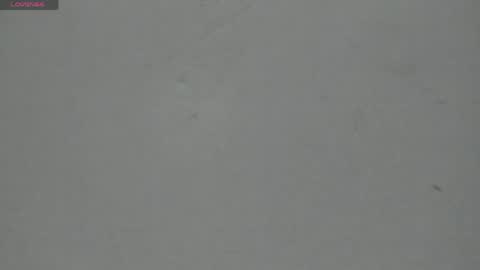 Snapshot of sophia_ebony___ chatting on 04/30/26, 12:11 sophia_ebony___ online show from 04/30/26, 12:11