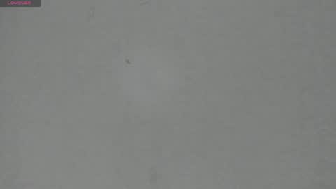 Snapshot of sophia_ebony___ chatting on 05/06/26, 11:59 sophia_ebony___ online show from 05/06/26, 11:59