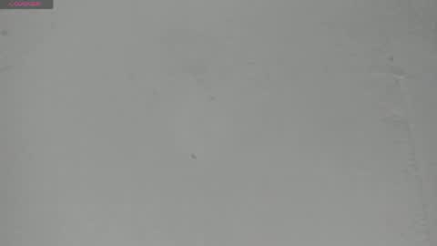Snapshot of sophia_ebony___ chatting on 05/23/26, 12:09 sophia_ebony___ online show from 05/23/26, 12:09
