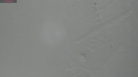 Snapshot of sophia_ebony___ chatting on 05/25/26, 12:11 sophia_ebony___ online show from 05/25/26, 12:11