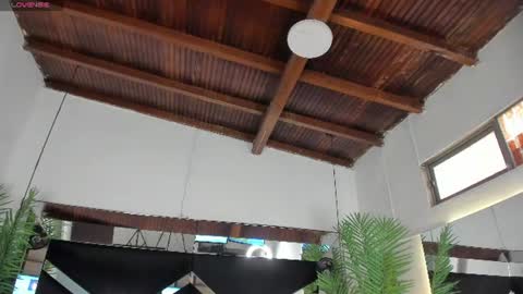 Snapshot of sophia_greey_ chatting on 06/12/26, 05:56 Shopia online show from 06/12/26, 05:56