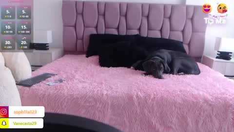 Sophia Carson online show from 01/01/25, 05:11